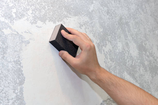 Best Mold Prevention Services  in Cedar Mill, OR