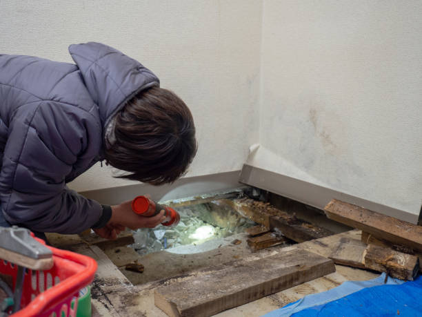 Mold Remediation for Vacation Homes in Cedar Mill, OR
