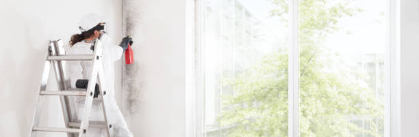 Best HVAC Mold Inspection and Cleaning  in Cedar Mill, OR