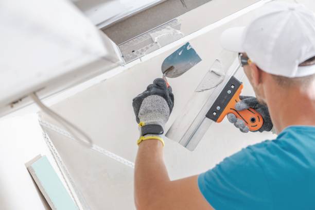 Best Mold Documentation for Insurance Claims  in Cedar Mill, OR